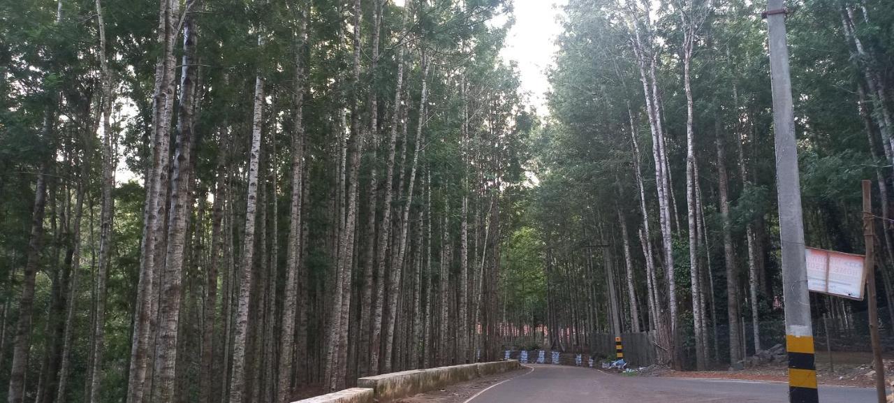 Istays - Loop Road, Йеркауд Екстериор снимка